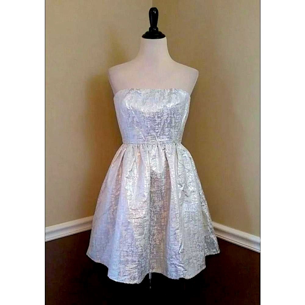 Silver Metallic Jacquard Strapless Party Dress with Pockets by Wendy Bird Sz 2